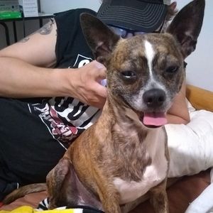 Meet your Posher, Donna